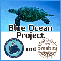 orgabits × Blue Ocean Project始動