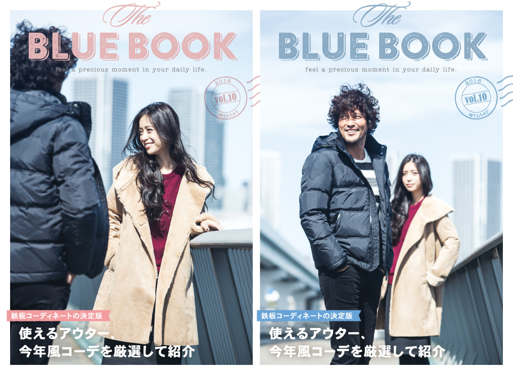 THE BLUE BOOK vol.10